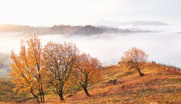 Attēls rakstam: Nedēļas pirmajā dienā vietām gaidāms neliels lietus