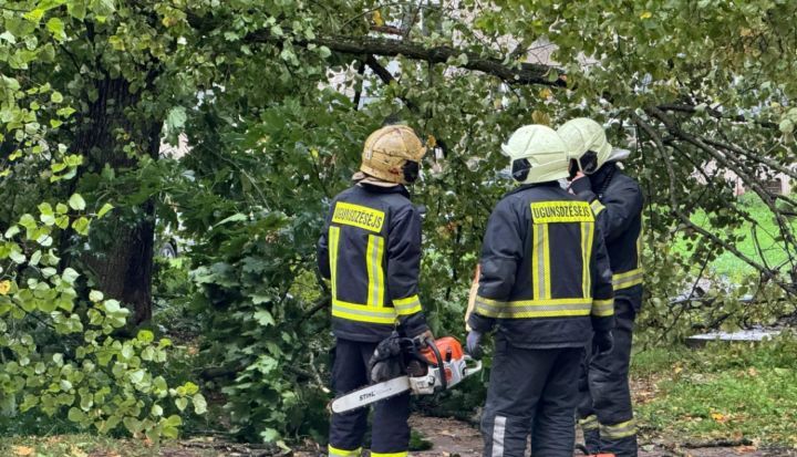 Jau apmēram 600 pieteikumu uz vēja un lietus radīto seku likvidēšanas darbiem, tostarp deviņi Vidzemē