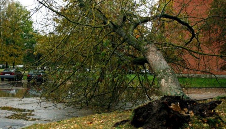 Latvijā turpinās spēcīga vētra. Situācija novada teritorijā tiek apsekota