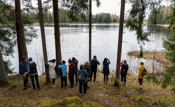 Oktobra pirmajā nedēļas nogalē iespējams  vērot gājputnus un ziņot par novērojumiem