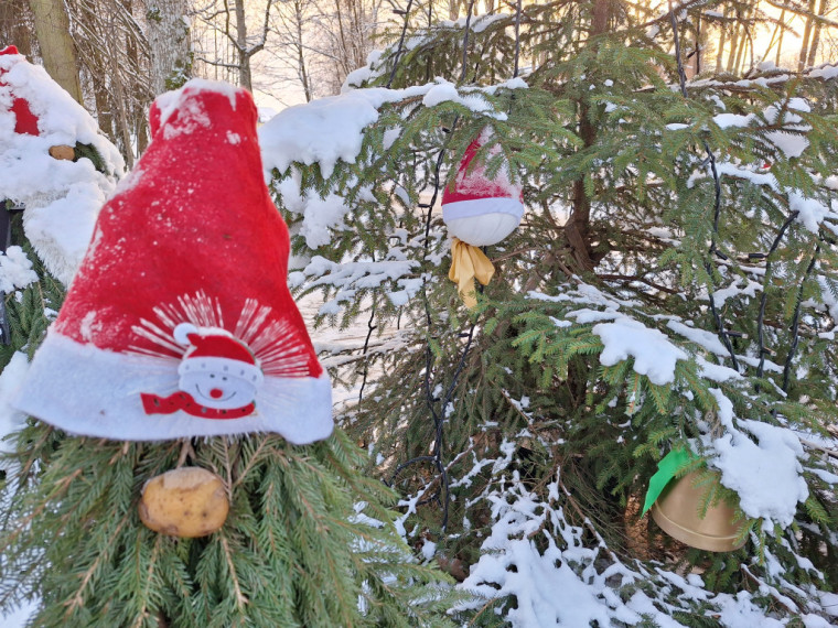 FOTO: Daži ziemas skati Ogrē