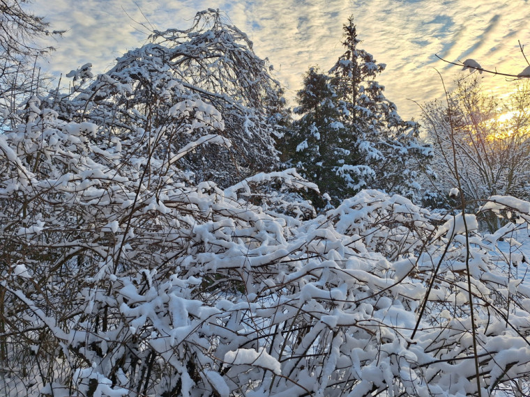 FOTO: Daži ziemas skati Ogrē