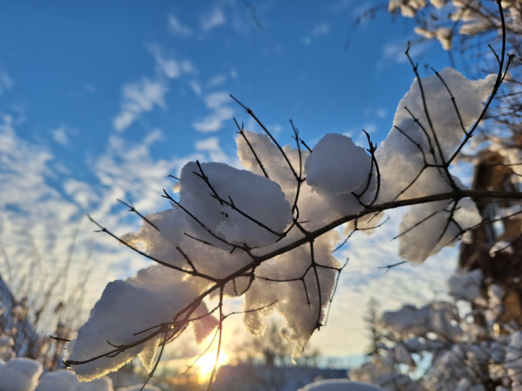 FOTO: Daži ziemas skati Ogrē