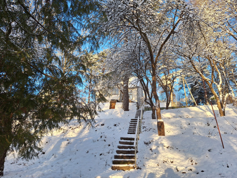 FOTO: Daži ziemas skati Ogrē