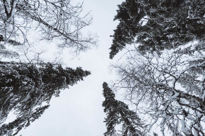 Trešdien nav gaidāmi lieli nokrišņi