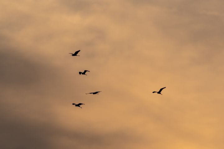 Tuvākajās dienās krasi paaugstināsies atmosfēras spiediens