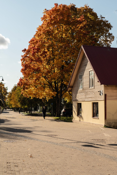 FOTO: Ogre rudens nokrāsās