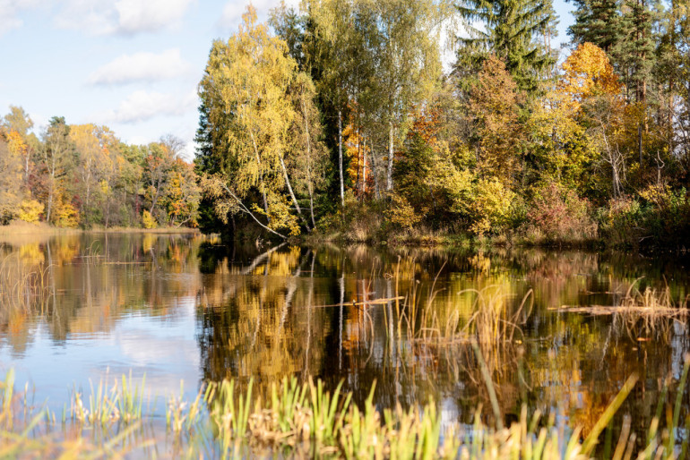 FOTO: Ogre rudens nokrāsās