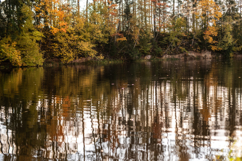 FOTO: Ogre rudens nokrāsās