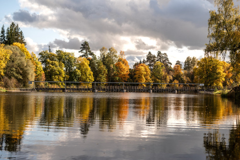 FOTO: Ogre rudens nokrāsās