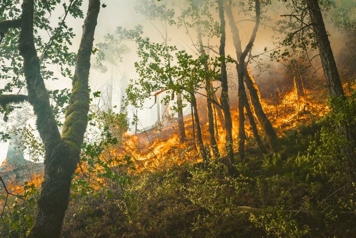 Aizvadītajā diennaktī Latvijā dzēsts 31 ugunsgrēks, tostarp Ogres novadā