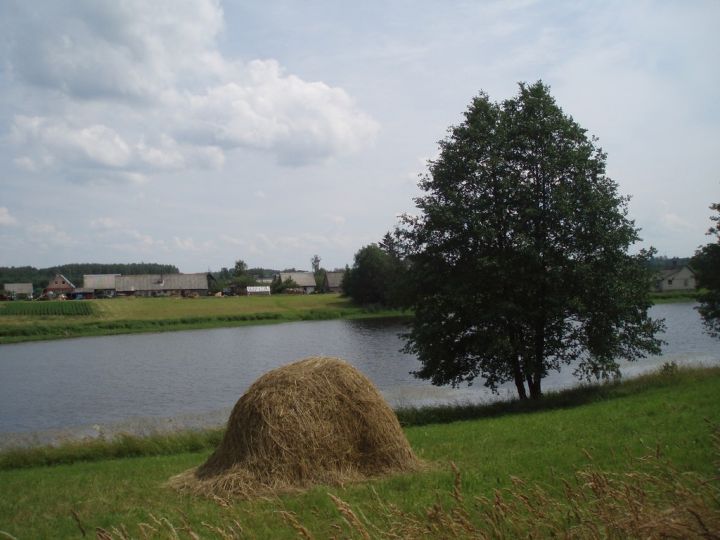 Aptauja: Šogad Jāņus lauku mājās plāno svinēt 40% Latvijas iedzīvotāju