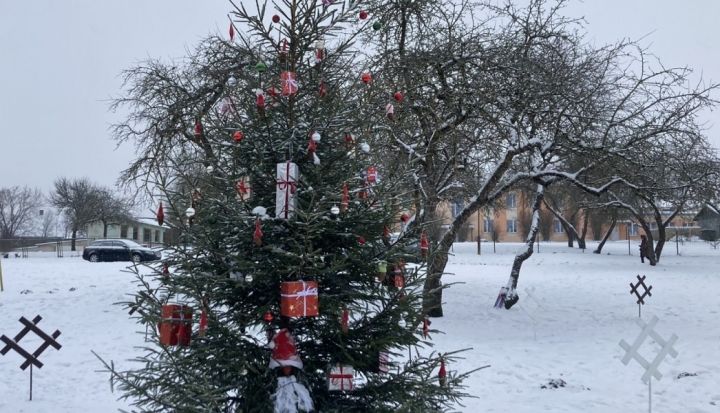 Noslēgusies akcija "Egļu stāsts"