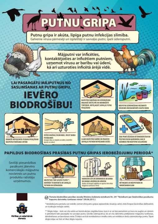 Ogres novadā konstatēti putnu gripas gadījumi Lielo ķīru kolonijās