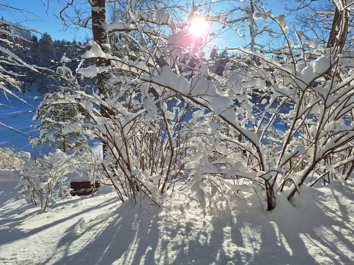Ogres skaistās ziemas ainavas (FOTO)