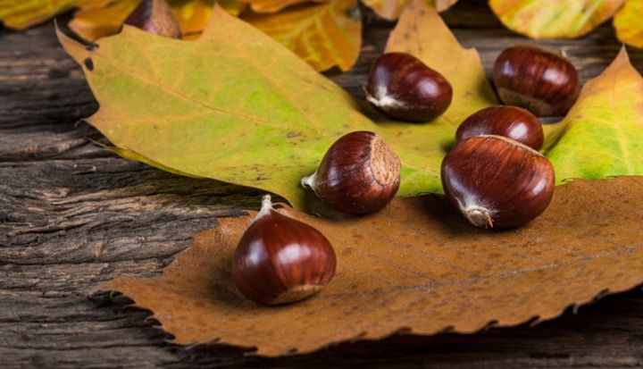 Rudens balle ar grupu "Kastaņi" Tomē