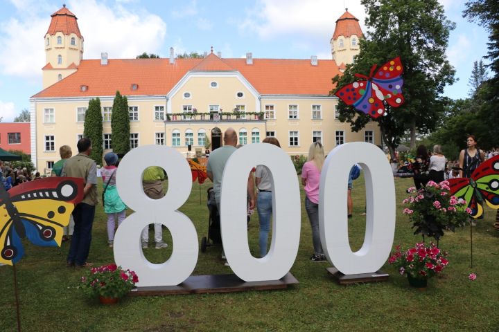 Suntaži svin 800 gadu jubileju (FOTO)