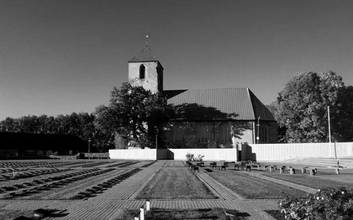 Pēteris Radziņš: Armija un aizsardzība