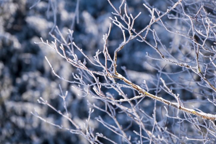 Latvijā gaidāma sniegota svētdiena un auksta pirmdienas nakts