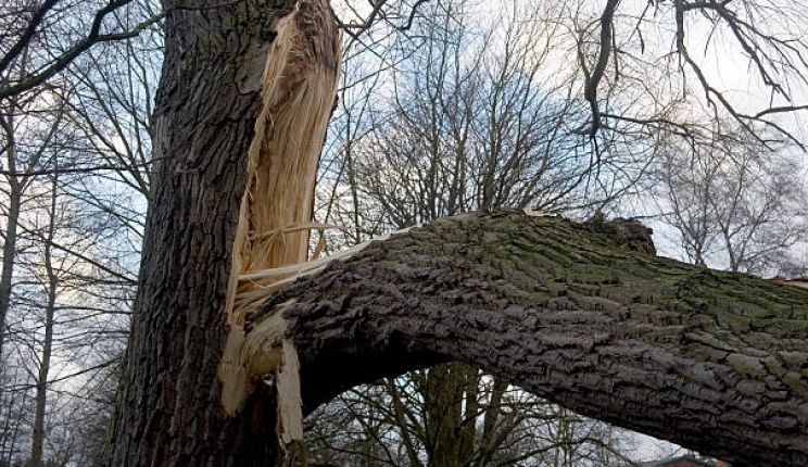 Attēls rakstam: Latvijas Vides, ģeoloģijas un meteoroloģijas centrs un Valsts ugunsdzēsības un glābšanas dienests izplata dzelteno brīdi