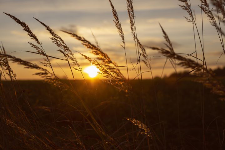 Piektdiena būs mākoņaina, gaidāms īslaicīgs lietus. 