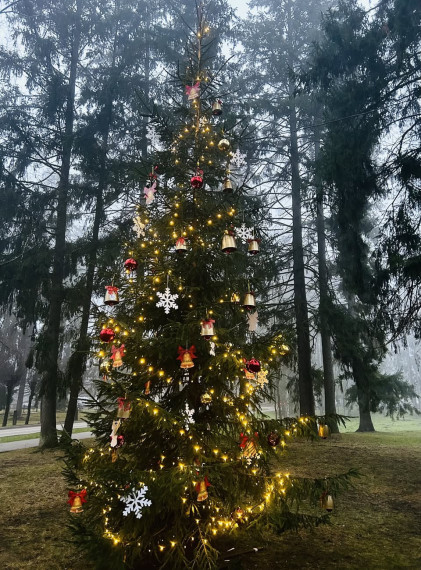  Ziemassvētku &quot;Egļu stāsts&quot; pirmās eglītes