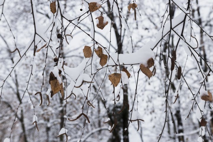 Novembris, visticamāk, sāksies ar vētru, stipru lietu un sniegu